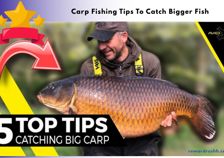 Carp Fishing Tips To Catch Bigger Fish