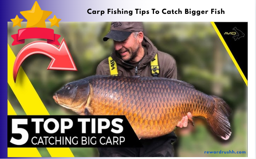 Carp Fishing Tips To Catch Bigger Fish