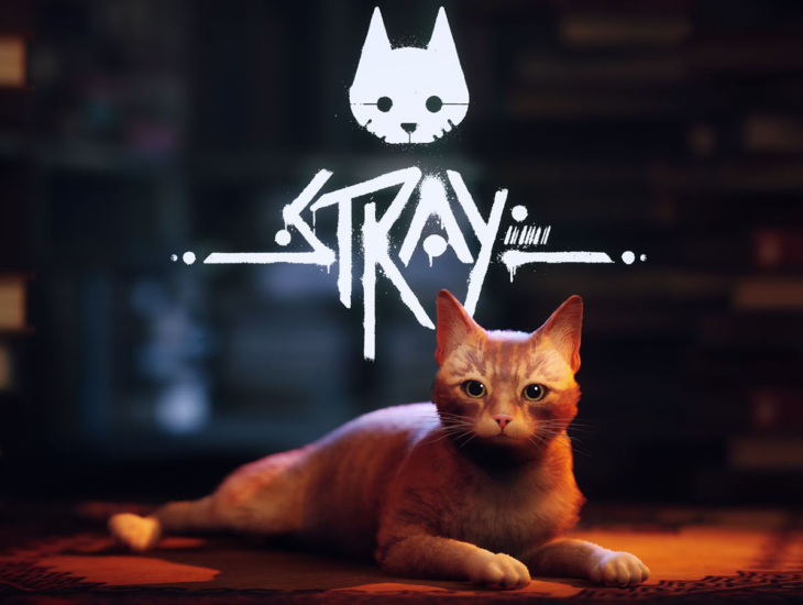 Stray Game Review