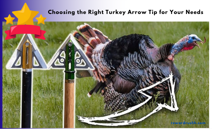 Choosing the Right Turkey Arrow Tip for Your Needs